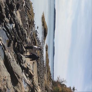 Meet your Posher, Deej